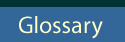 Glossary