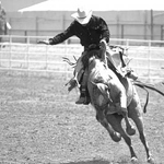 rodeo
